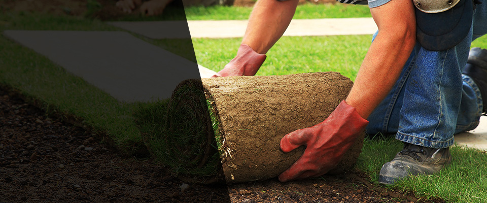 Mc Bain Landscapers